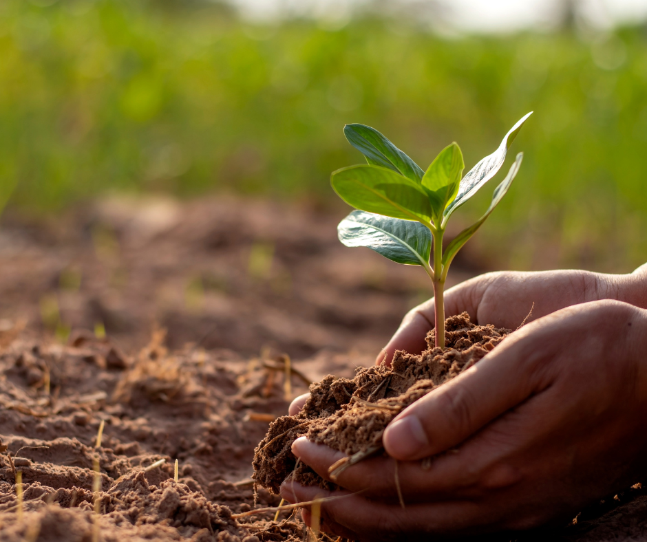 BMSCare – new YouTube video