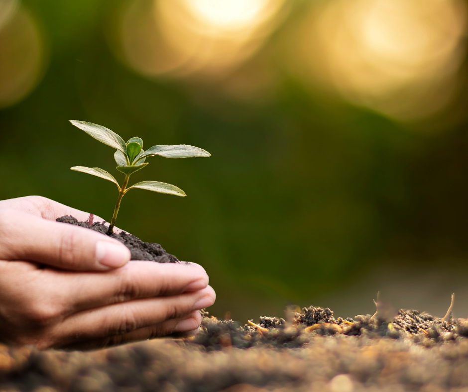 #Go4ESG – ESRS: European Sustainability Reporting Standards