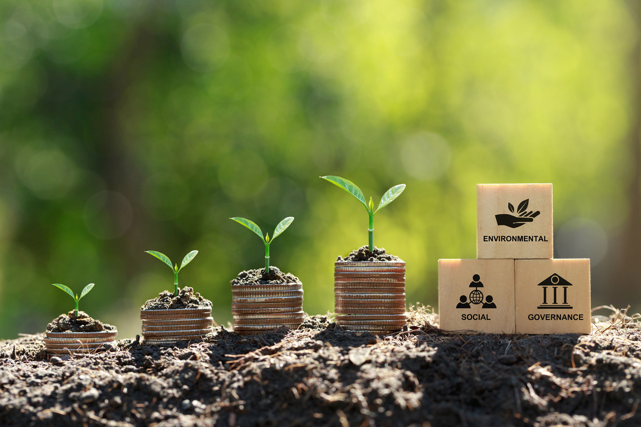 Dlaczego warto składać raporty ESG?