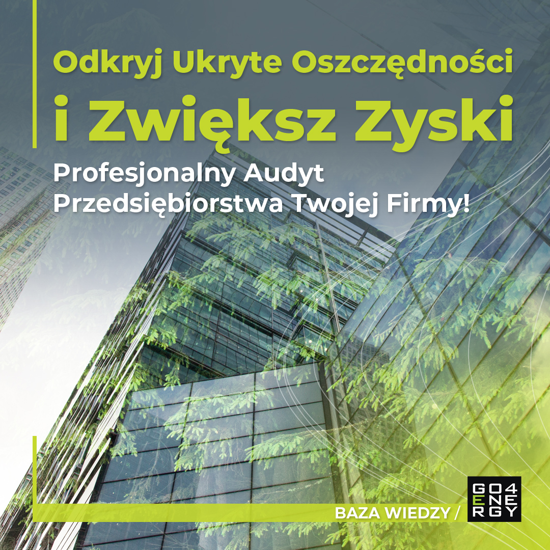 Odkryj Ukryte Oszczędności i Zwiększ Zyski – Profesjonalny Audyt Przedsiębiorstwa Twojej Firmy!